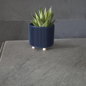 Peut inclure: Un pot de fleurs bleu marine à côtes avec trois petits pieds de couleur claire. Le pot cylindrique contient une plante succulente verte et jaune. Le pot est sur une surface grise.