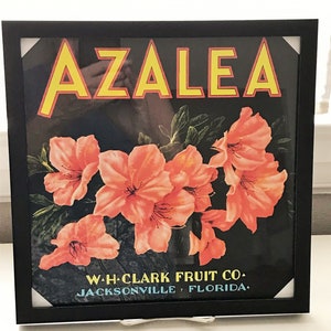 Vintage Florida Orange Citrus Crate Label Print/13X13&quot; Framed/Azalea Brand Citrus/Retro Tropical Decor/Old Florida Collectible