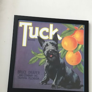 Vintage Florida Orange Citrus Crate Label Print/Framed/11X11&quot; TUCK Brand Tampa Florida/Retro Tropical /Old Florida Collectible