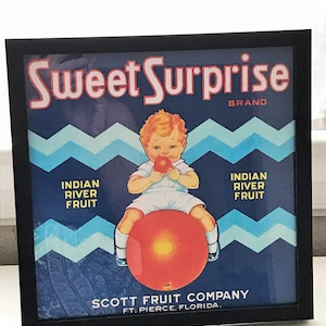 Vintage Florida Orange Crate Label Print/Framed/11X11&quot; Sweet Surprise Brand Citrus/Retro Tropical Decor/Old Florida Collectible