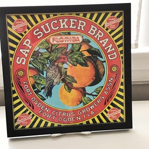 Vintage Florida Orange Crate Label Print/Framed/11X11&quot; Sap Sucker Brand Citrus/Retro Tropical Decor/Old Florida Collectible