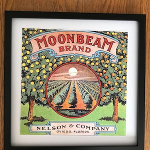 Vintage Florida Orange Crate Label Print/Framed/13X13/Moonbeam Brand Oviedo  Citrus Label/Retro Tropical Decor/Old Florida Collectible