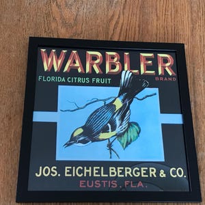 Vintage Florida Orange Crate Label Print/Framed/Warbler Brand Eustis Citrus Label/Retro Tropical Decor/Old Florida Collectible