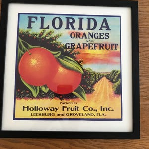 Vintage Florida Orange Crate Label Print/Framed/Oranges & Grapefruit Citrus Label/Retro Tropical Decor/Old Florida Collectible