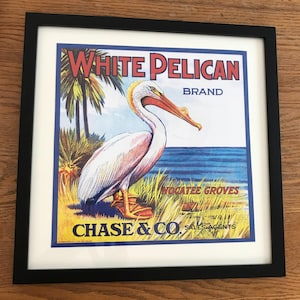 Vintage Florida Orange Crate Label Print/Framed/White Pelican Nocatee Citrus Label/Retro Tropical Decor/Old Florida Collectible