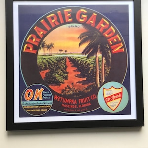 Vintage Florida Orange Crate Label Print/Framed/13X13&quot; Wetumpka Fruit Co Label//Retro Tropical Decor/Old Florida Collectible