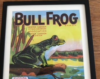 May include: A framed vintage-style print featuring a green bullfrog perched on a log. The text reads BULL FROG BRAND, WINTER GARDEN CITRUS GROWERS ASSOCIATION, WINTER GARDEN FLORIDA, and FLORIDA CITRUS EXCHANGE. The background shows a pond and reeds.
