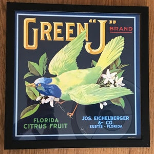 Vintage Florida Orange Crate Label Print/Framed/Green Jay Brand Eustis Citrus Label/Retro Tropical Decor/Old Florida Collectible