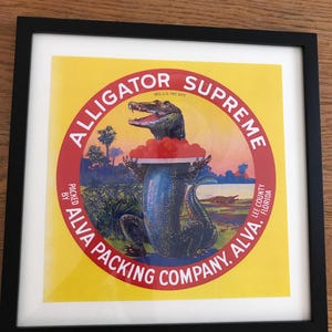 Vintage Florida Citrus Orange Crate Label Print/Framed/Alligator Fruit Label//Retro Tropical Decor/Old Florida Collectible
