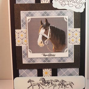 Horse Birthday card/artwork by Pollyanna Pickering, handmade cards, cards
