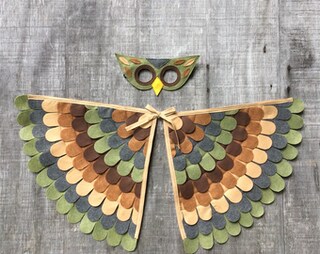 Costume Uccello Per Bambini Con Ali In Feltro E Maschera – Mantello Colorato Per Carnevale