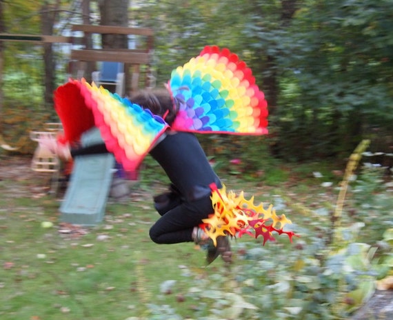 Rainbow Parrot Costume - 3 Piece Set