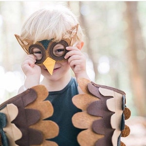 Owl Costume// Wings and Mask: 3-5 years / 5-10 years / Teen/Adult sizes Eco Friendly Tree Vine image 1