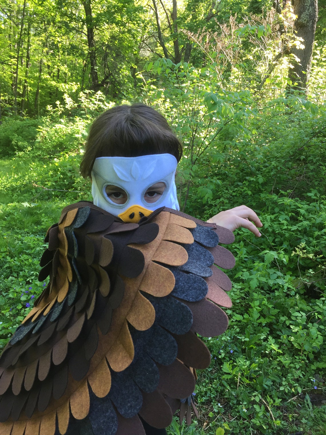 Bald Eagle Costume Set / Mask and Flappable Wings / Kids Eagle Etsy Canada