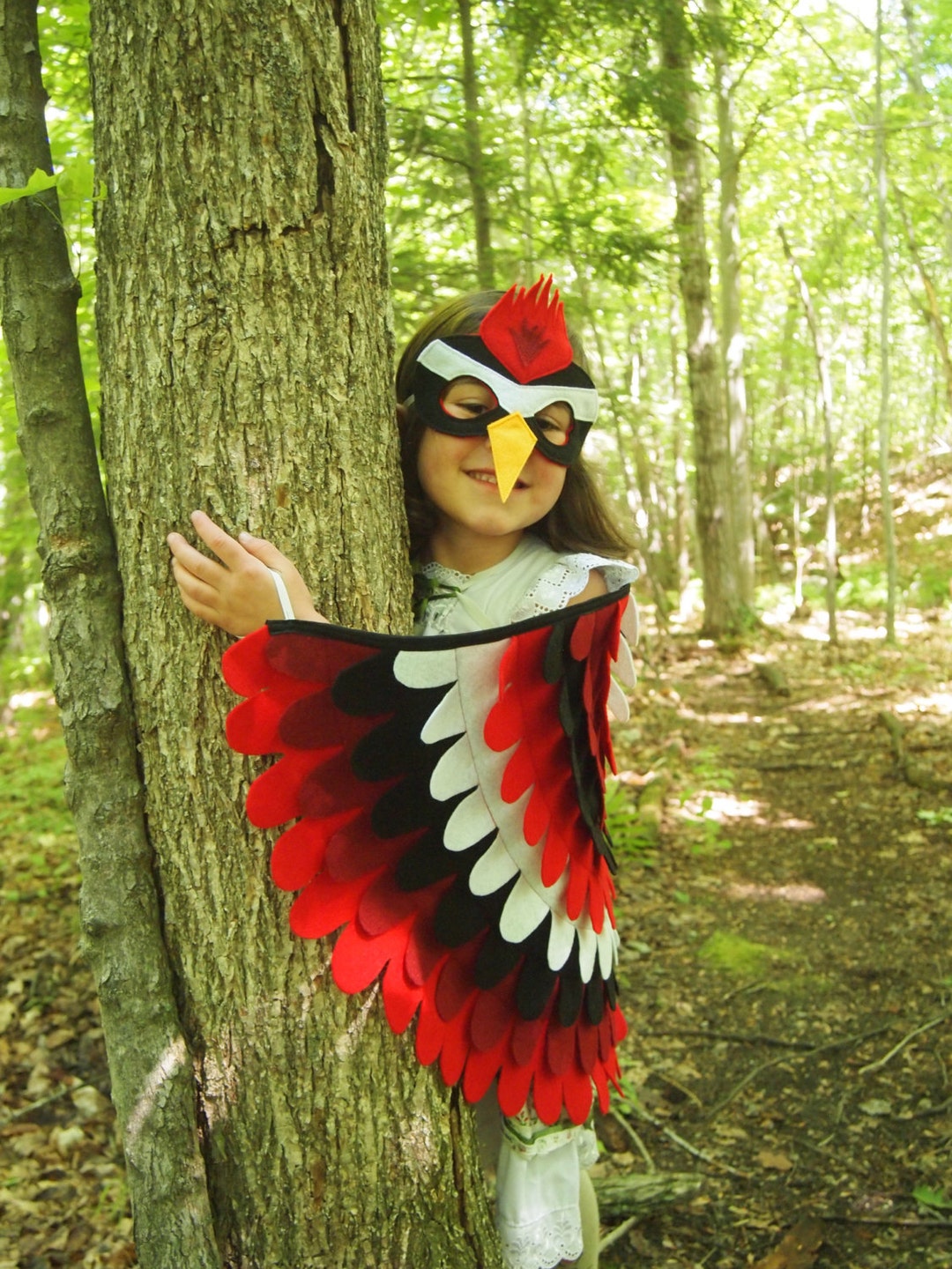 Woodpecker Costume Set / Mask and Wings / Great for Play /
