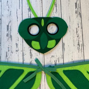 Op de afbeelding: Groen vilt masker met grote zwarte ogen en groene antennes. Passende groene vilt vleugels met een groene strik.