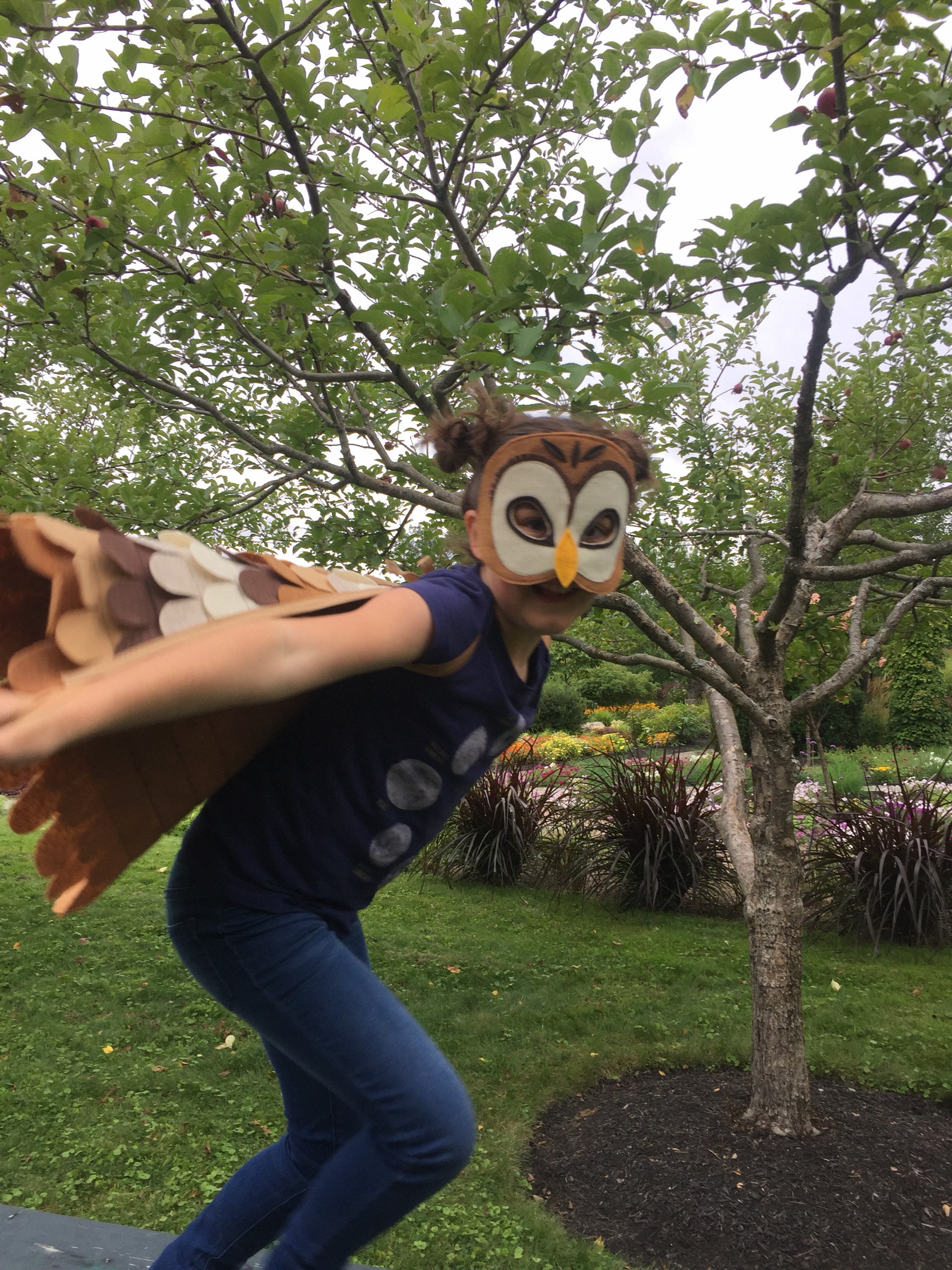 Disfraces y Cosplay de Lechuzas - Top Ventas Recomendado