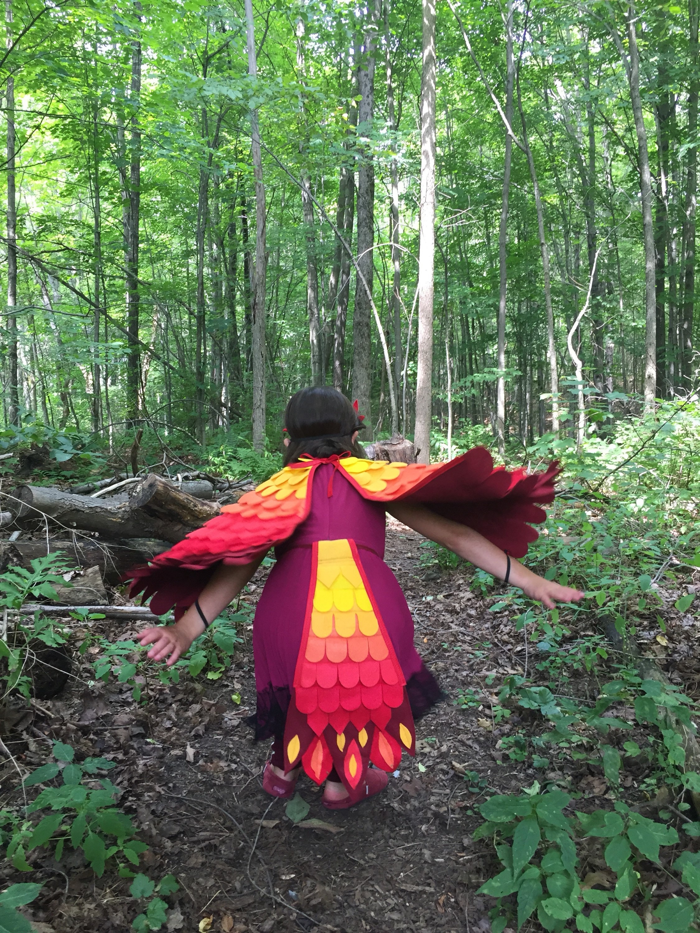Phoenix Costume Set, 3 Piece/ Felt Mask, Flappable Wings and Blazing ...