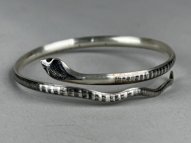 May include: A silver-toned snake bracelet. The bracelet wraps around the wrist with the snake's head at the top. The snake's head and body are detailed with etched patterns. The bracelet is a stylish piece of jewelry.