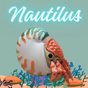 Könnte beinhalten: Ein 3D-gedrucktes Nautilus-Modell mit einer weißen, orangefarbenen und grünen Schale und orangefarbenen Tentakeln. Das Wort "Nautilus" ist in einer teal-Schriftart über dem Modell geschrieben. Der Hintergrund zeigt Korallen und eine teal-Farbe.