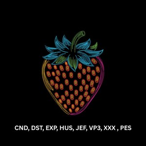 May include: An embroidered strawberry design featuring a green stem, blue leaves, and a body outlined in yellow and pink with orange seeds. The text CND, DST, EXP, HUS, JEF, VP3, XXX, PES is displayed in white at the bottom against a black background.