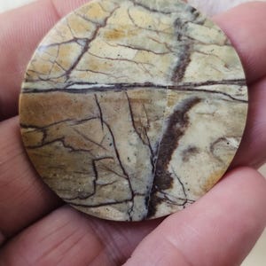 Peut inclure: Une pierre ronde et polie avec un motif naturel de veines beiges, marron et noires. La pierre est tenue dans une main, mettant en valeur sa forme circulaire et ses détails complexes. La surface de la pierre a une finition brillante.
