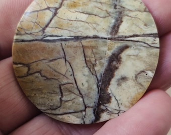 Rare Circular Maligano Jasper Cabochon - Natural Pattern Gem, Collector’s Stone (46x46x3mm)