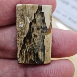 Puede incluir: Una pieza rectangular de madera petrificada con un patrón marrón, negro y blanco. La madera tiene una superficie lisa y pulida.