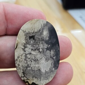 Puede incluir: Primer plano de una piedra ovalada de color gris y negro con un patrón único. La piedra tiene una superficie lisa y pulida.