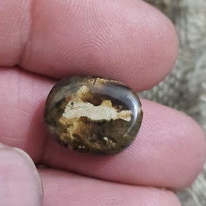 Może przedstawiać: Mały, owalny kamień o wypolerowanej, błyszczącej powierzchni. Kamień ma mieszankę brązowych, beżowych i kremowych kolorów, z unikalnym wzorem jasnych wtrąceń. Kamień jest trzymany między palcami, co sugeruje, że jest to mały, podręczny przedmiot.