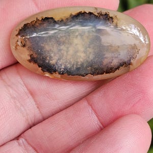 May include: An oval-shaped, polished gemstone with a translucent, light-brown base. The stone features intricate, dark-brown and black dendritic inclusions, creating a unique pattern. The gemstone is held in a hand, with a blurred green background.