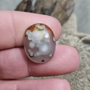 Può includere: Una gemma ovale con una miscela di colori marrone, bianco e viola. La pietra lucida presenta un motivo distintivo di macchie e vortici. La gemma è tenuta tra le dita, evidenziando le sue dimensioni e i dettagli.