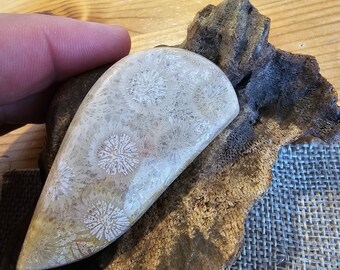 Indonesian Fossil Coral Cabochon – Unique Gemstone for Jewelry (64x35x8mm)