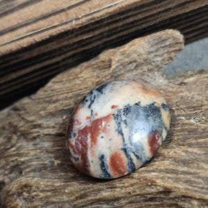 Nature's Canvas: Exquisite Fokay Stone Fossil Wood Cabochon for Artistic Jewelry,26x24x10mm