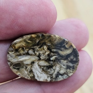 Può includere: Primo piano di una pietra ovale di colore marrone e bianco con un motivo a spirale. La pietra ha una superficie liscia e lucida.