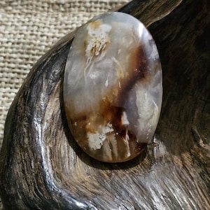 Könnte beinhalten: Ein glatter, ovaler Achat-Stein mit braunen, weißen und grauen, wirbelnden Mustern. Der Stein liegt auf einer dunkelbraunen Holzoberfläche.