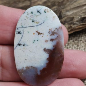 Könnte beinhalten: Oval geformter Edelstein mit polierter Oberfläche. Der Stein zeigt eine Mischung aus Weiß, Braun und Hauch von Blau und Grün. Feine schwarze Linien und kleine Punkte bilden ein natürliches Muster. Der Edelstein wird in einer Hand gehalten.