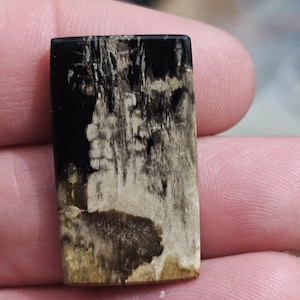 Könnte beinhalten: Ein rechteckiger, polierter Edelstein mit einem auffälligen Kontrast aus Schwarz und Beige. Die Oberfläche des Steins zeigt ein einzigartiges Muster, wobei der schwarze Teil die obere Hälfte dominiert und in eine hellere, beige Farbe mit komplizierten Adern übergeht. Der Stein wird in einer Hand gehalten.