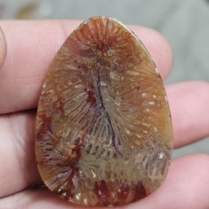 Può includere: Una gemma lucida a forma di goccia con un motivo unico. La pietra presenta una miscela di colori caldi, tra cui sfumature di marrone, arancione e rosso, con trame intricate simili a fossili. Una vena scura attraversa il centro.