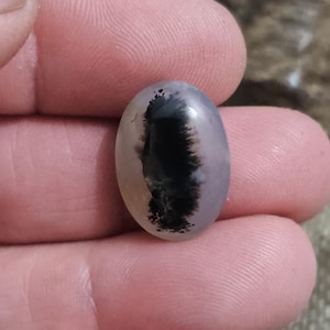 Peut inclure: Une pierre précieuse ovale avec une base translucide, lavande pâle. Un motif dendritique noir saisissant, ressemblant à un arbre ou une fougère, est visible à l'intérieur de la pierre. La pierre est tenue dans une main.