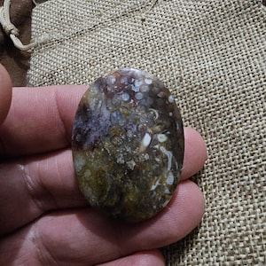 Può includere: Primo piano di una pietra di agata ovale di colore marrone, bianco e grigio con un motivo a spirale. La pietra è liscia e lucidata.