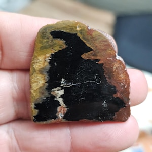 Petrified wood picture agate,38x38x6mm