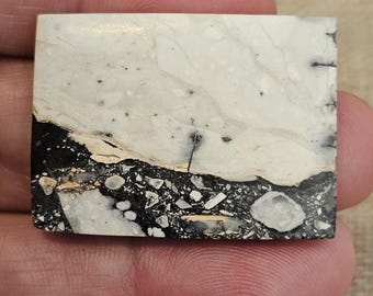 Puede incluir: Un cabujón de piedra blanco, negro y marrón con un patrón único. La piedra tiene una superficie lisa y pulida y es un material natural.