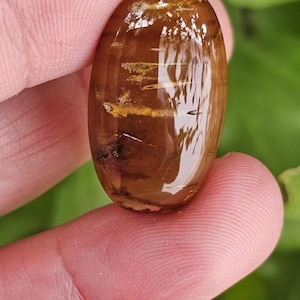 May include: A smooth, oval-shaped, brown gemstone with gold and black inclusions. The gemstone is translucent and has a glossy finish.