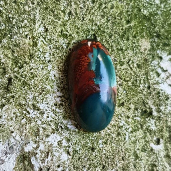 Indonesian multicoloured petrified wood opal stone