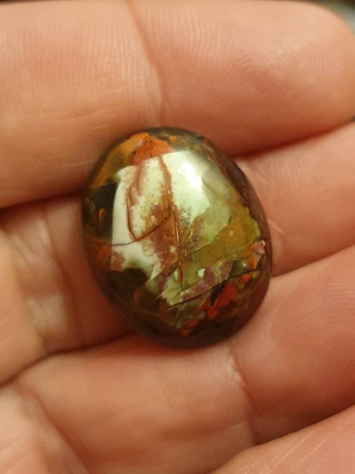 Petrified opalized multicolor wood opal for jewelry making Etsy Nederland