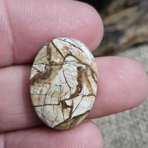 Rare Maligano Jasper Cabochon - Natural Pattern Gem for Jewelry, Collector’s Stone, Unique Gift Gem Lovers