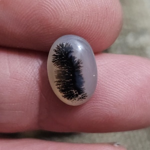 Peut inclure: Une pierre précieuse ovale avec une base translucide gris pâle. Elle présente une inclusion dendritique noire ressemblant à un arbre ou une fougère. La surface polie reflète la lumière, mettant en valeur le motif complexe.