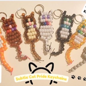 Könnte beinhalten: Eine Sammlung von Katzen-Schlüsselanhängern aus Perlen in verschiedenen Farben, darunter Orange, Braun, Weiß, Schwarz, Gelb und Grau. Jeder Schlüsselanhänger zeigt eine Katzen-Silhouette mit Schwanz und Schlüsselring. Text: "Show your pride with feline fun!" und "Subtle Cat Pride Keychains."