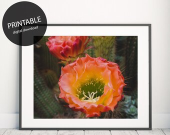 Printable Cactus Flower Instant Download, Home Decor Refresh DIY Art Print, Printable Photo, Cactus Art Print, Southwest Home Decor